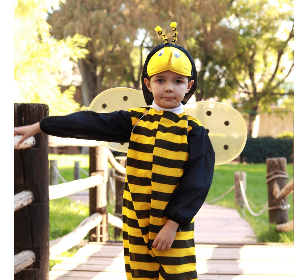 Disfraz De Abejorro/abeja Para Niño Primavera