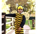 Disfraz De Abejorro/abeja Para Niño Primavera