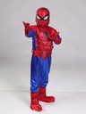 SPIDERMAN ECO 