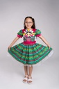 Vestido Mexicano Tipico Fiestas Patrias Colorido Para Niña