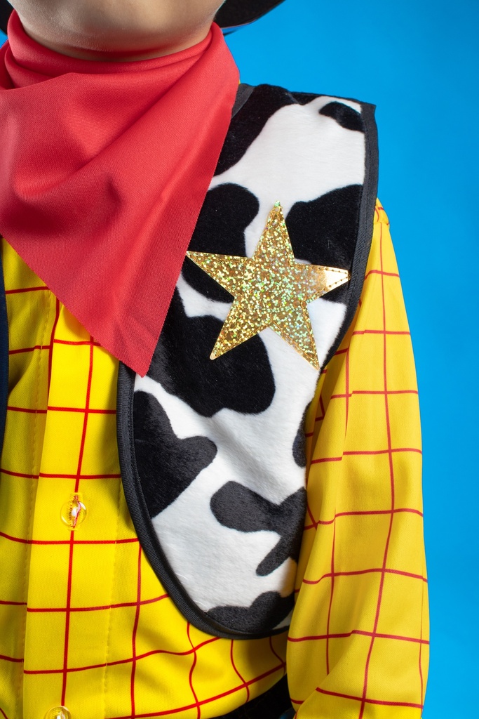 Disfraz De Vaquero Woody Con Accesorios Toy Story 