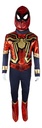 IRONSPIDER