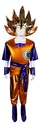 GOKU LICRA