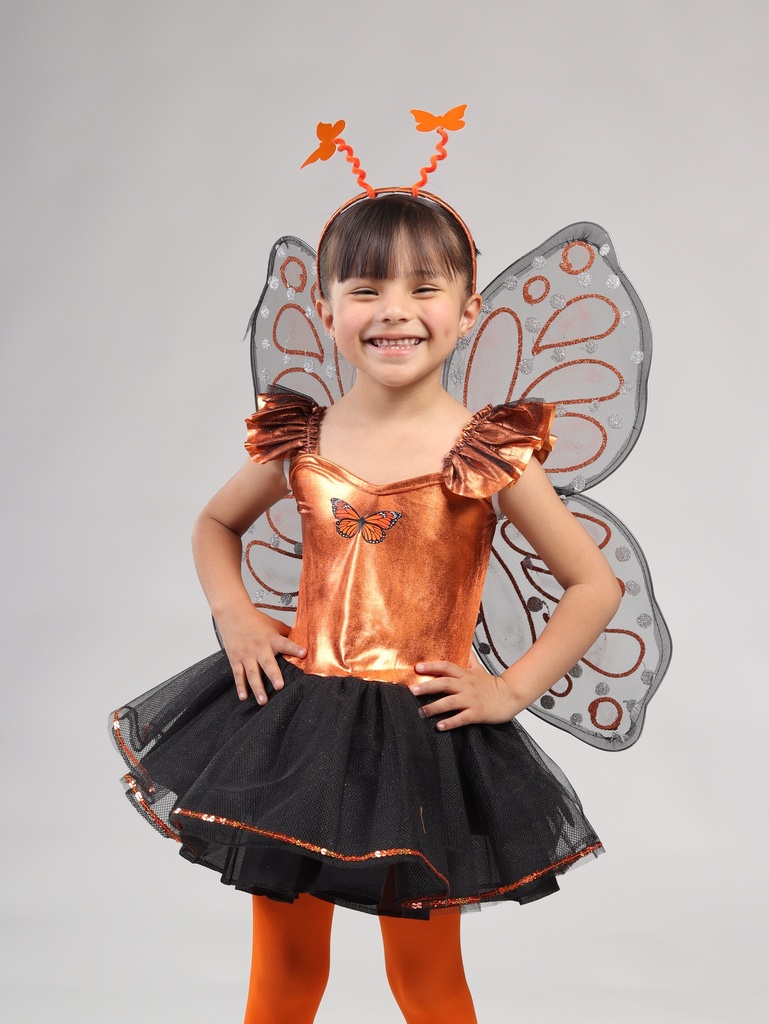 MARIPOSA MONARCA 