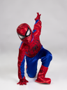 SPIDERMAN ECO 