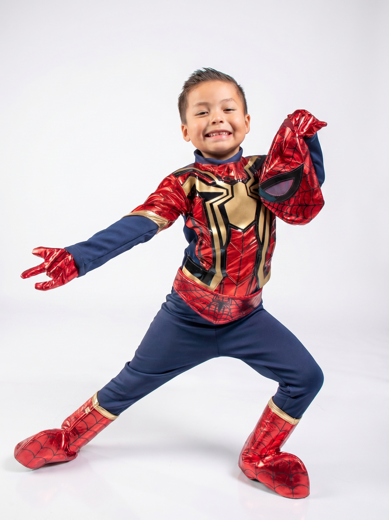 IRONSPIDER