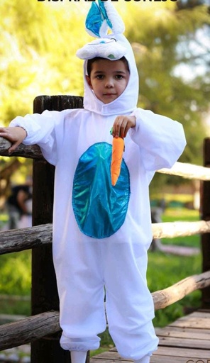  CONEJO NIÑO